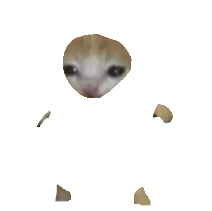 The same cat with the badge removed: a face and four paws, unconnected.